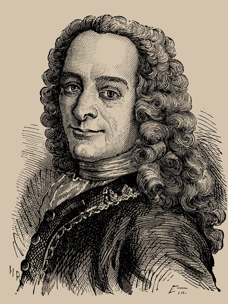 Porträt von Voltaire